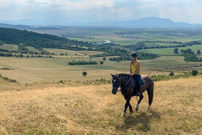 Horseback Riding Tour In Brasov - Ride Through Fields, Forests & Hills - Back at the ranch: stables access and purebred horses
