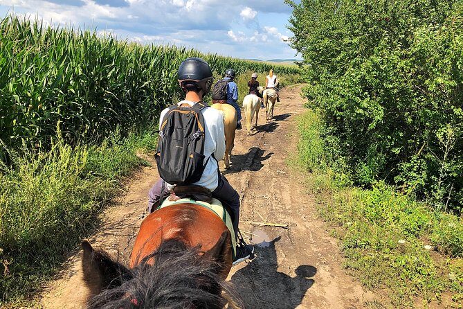 Horseback Riding Tour In Brasov - Ride Through Fields, Forests & Hills - Price and value: what $144.57 buys you