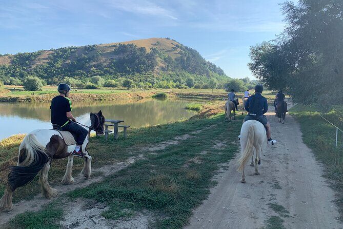 Horseback Riding Tour In Brasov - Ride Through Fields, Forests & Hills - Matching horses to your level (and why it matters)