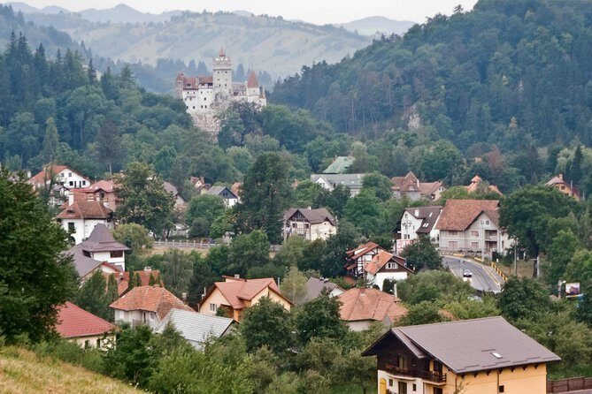 Libearty Bear Sanctuary and Dracula's Castle - Day Tour from Bucharest - Bran Castle: Dracula’s fortress, medieval angles, and real crowd math