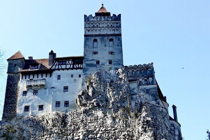 Libearty Bear Sanctuary and Dracula's Castle - Day Tour from Bucharest - Guide-led timing: what “small group” changes