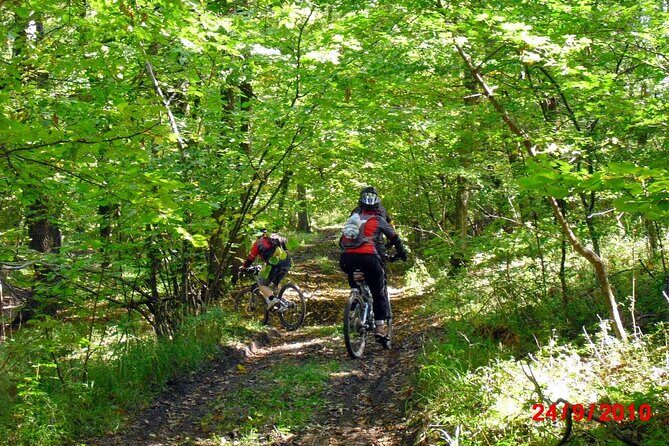Mountain Bike Day Tour around Brasov - What the guided ride feels like: forest roads, castles, and real trail time