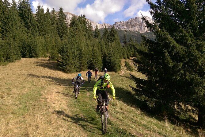 Mountain Bike Day Tour around Brasov - Stop-by-stop: what happens from Poiana Brasov to Brasov