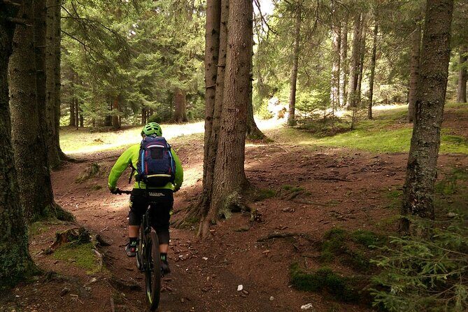 Mountain Bike Day Tour around Brasov - Evening downhill: why the “later” ride often wins
