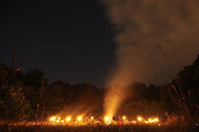 Night Tour in Hoia Baciu Forest - Hoia Baciu after dark: why this walk works