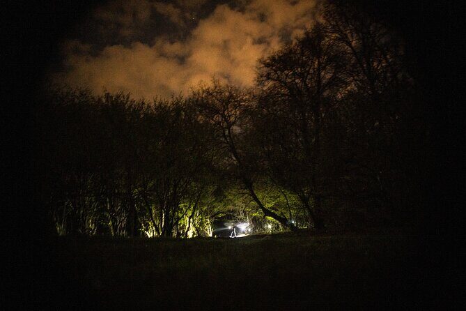 Night Tour in Hoia Baciu Forest - Price and value: what $160.57 buys you in the real world