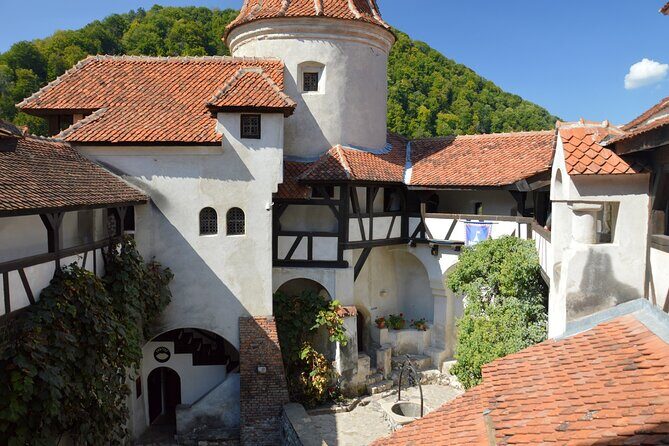One Day Private Tour to Peles and Dracula Castles & Brasov City - Private transport and guide time: comfort plus control
