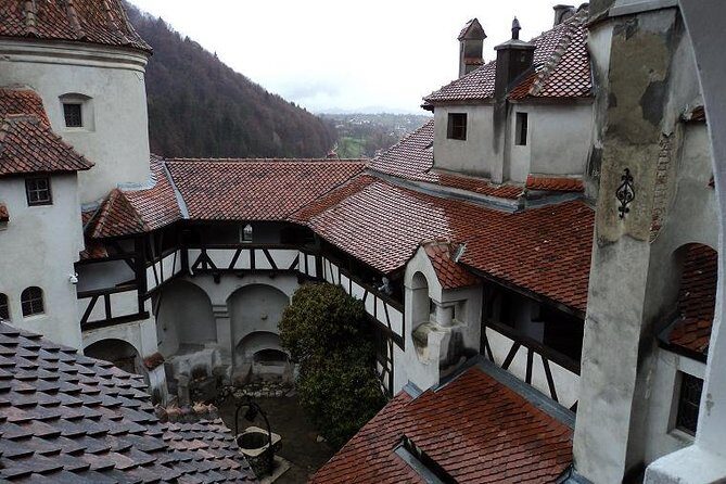 One day trip Bear Sanctuary, Dracula Castle, Rasnov Fortress from Brasov - Who should book this day trip from Brasov