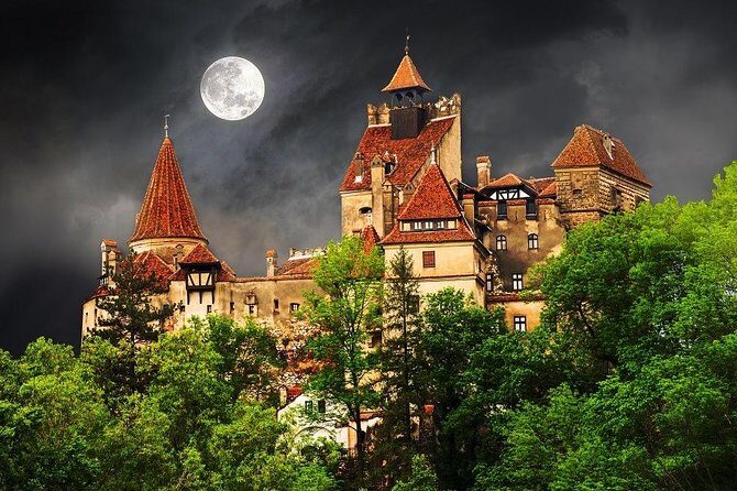 One day trip Bear Sanctuary, Dracula Castle, Rasnov Fortress from Brasov - Libearty Bear Sanctuary in Zărnești: the emotional highlight