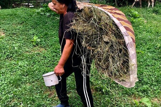 Original Carpathian Village Experience and Sinaia in one day tour - What you really get: village life plus Sinaia viewpoints in one push