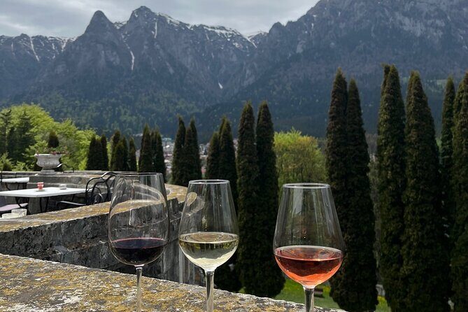 Peles & Cantacuzino Castles: Gourmet Wine & Cultural Day trip - Cantacuzino Castle: Views First, Then the Real Wine Moment