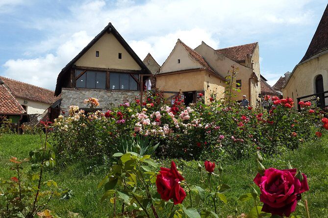 Peles Castle, Bran Castle, Rasnov Fortress and Sinaia Monastery Tour from Brasov - Entering Peles Castle (Sinaia): royal museum vibes and a smart ticket move