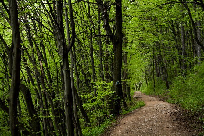 Perfect bike tour around Brasov - Key highlights you’ll feel from the start