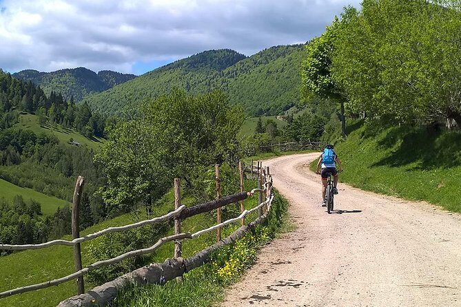 Perfect bike tour around Brasov - The Secular oak forest: protected shade, law-protected calm