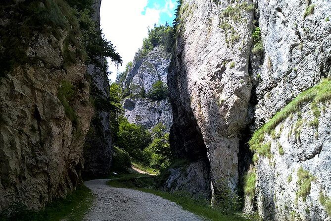 Perfect bike tour around Brasov - Price and value: what $178.27 buys you in real terms