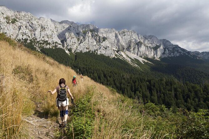 Piatra Craiului National Park Private Hiking Tour from Brasov - Key highlights that make this hike worth it