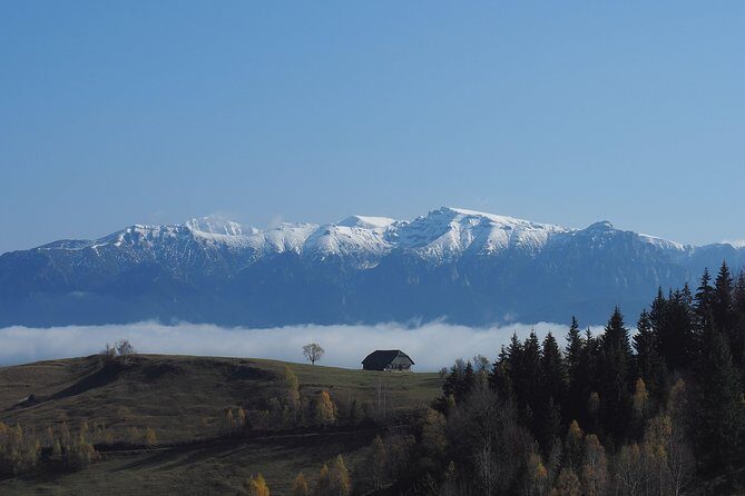 Piatra Craiului National Park Private Hiking Tour from Brasov - Seasonal bonus: a sheep farm stop in summer