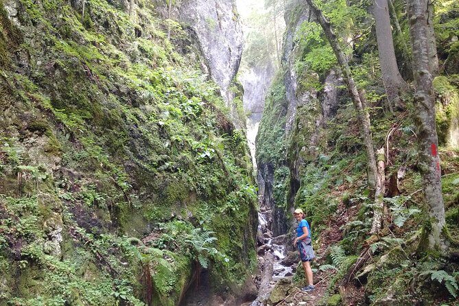 Piatra Craiului National Park Private Hiking Tour from Brasov - Optional Bran Castle: Dracula’s story, Gothic halls, and time math