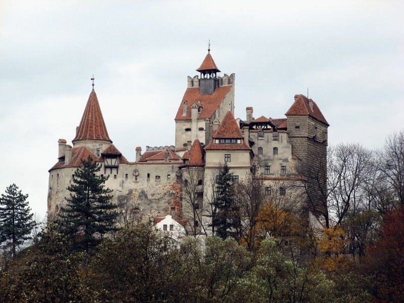 Premium Tour Bran & Peles Castle from Bucharest - Timing, Crowds, and How the Day Feels When You’re in a Van All Day