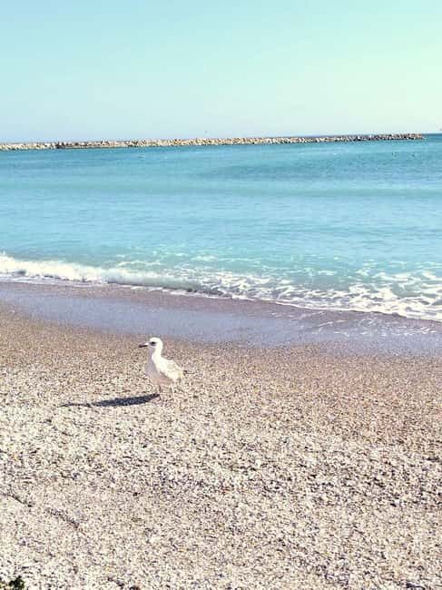 Private Bucharest Tour: Discover Constanța & Black Sea Coast - Mamaia Beach: your reward after the viewpoint work