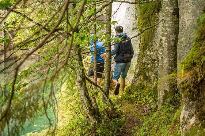 Private Daytrip Hike to Bucegi Mountains - Pickup, ride comfort, and why private beats a big group here