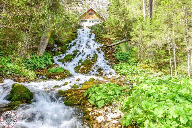 Private Daytrip Hike to Bucegi Mountains - Lunch, snacks, and how the day stays relaxed