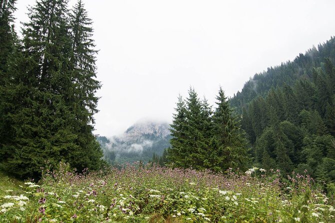 Private Daytrip Hike to Bucegi Mountains - Zănoaga Dreamland hike: forest trails, gorge entry, and time well spent