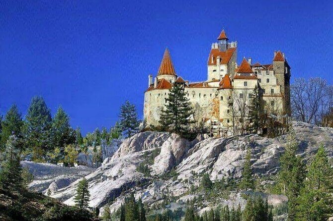 Private Tour to Dracula's Castle, Brașov City & Peleș Castle - Pickup, ride comfort, and how you avoid the crowded-bus trap