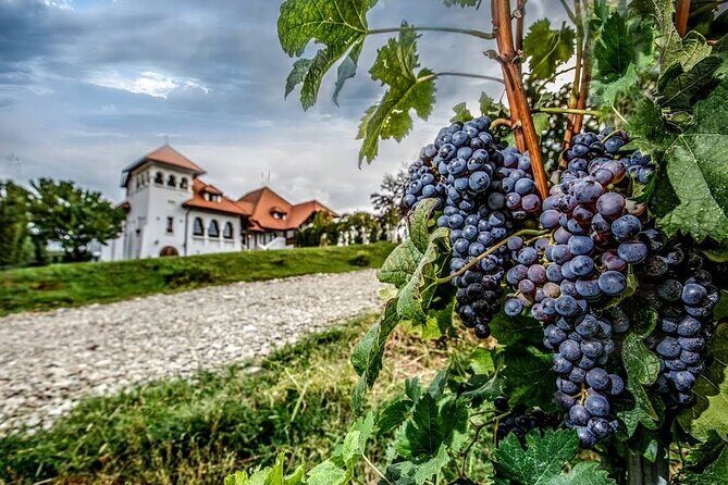 Private Tour to Salt Mine, Lunch at Winery and Dracula Grave - Price check: is $167.75 fair for this 9-hour mix?
