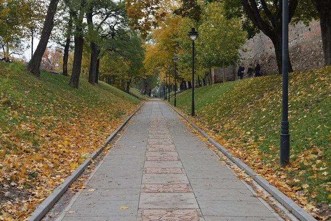 Private Walking Tour of Sibiu - Piata Mare: the big square, the first museum idea, and local drama