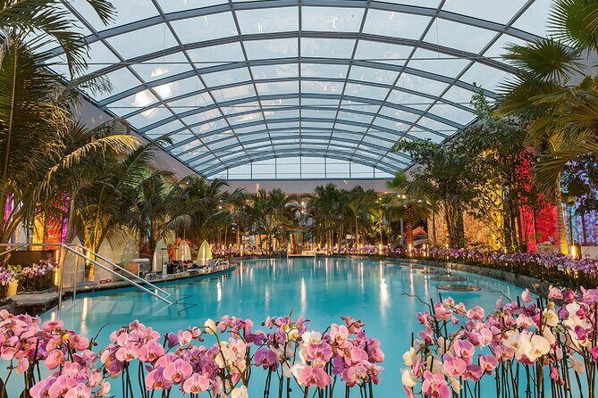 Relax and Fun at Thermal Spa Bucharest (Admission Ticket) - Quick Take