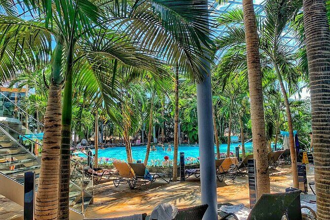 Relax and Fun at Thermal Spa Bucharest (Admission Ticket) - PALM: Tropical Pool Time, Mineral Soaks, and the Sand-Beach Bonus