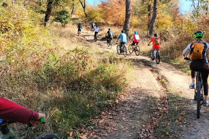 Sambata de Sus: E-Bike Guided Tours - Key things I’d circle before you book