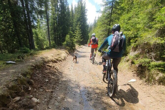 Sambata de Sus: E-Bike Guided Tours - Timing, ticketing style, and day-of expectations