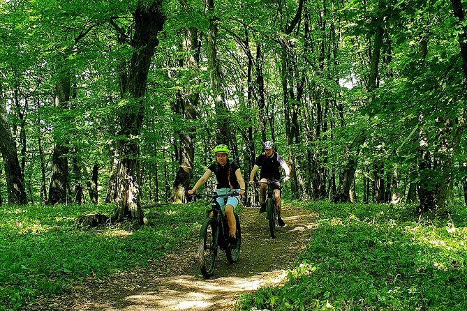 Sambata de Sus: E-Bike Guided Tours - Riding the route: how the day stays fun (not just scenic)