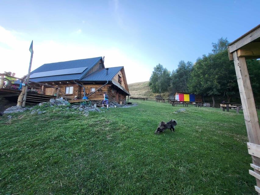 Sibiu: Cindrel Mountains Hike with Traditional Brunch - Local legends and wildlife spotting make the walk feel personal