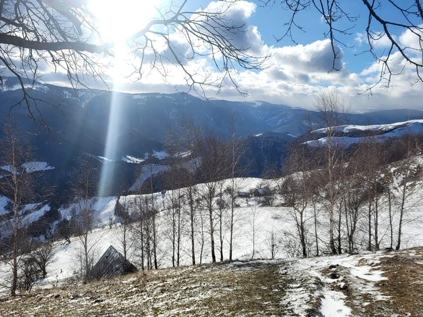 Sibiu: Cindrel Mountains Hike with Traditional Brunch - MGS Cabin brunch: traditional Transylvanian comfort food in the mountains