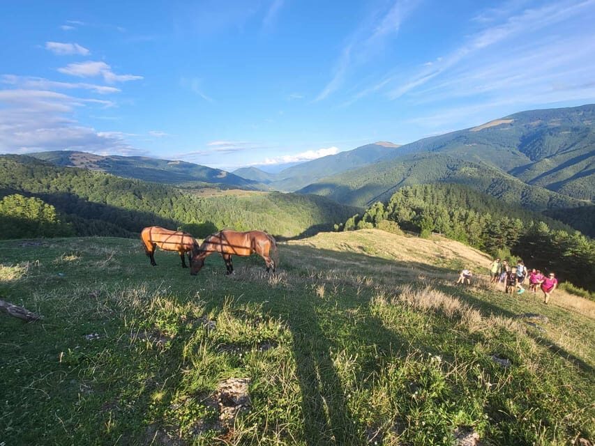 Sibiu: Cindrel Mountains Hike with Traditional Brunch - Price and value: what $68 covers, and what you should add