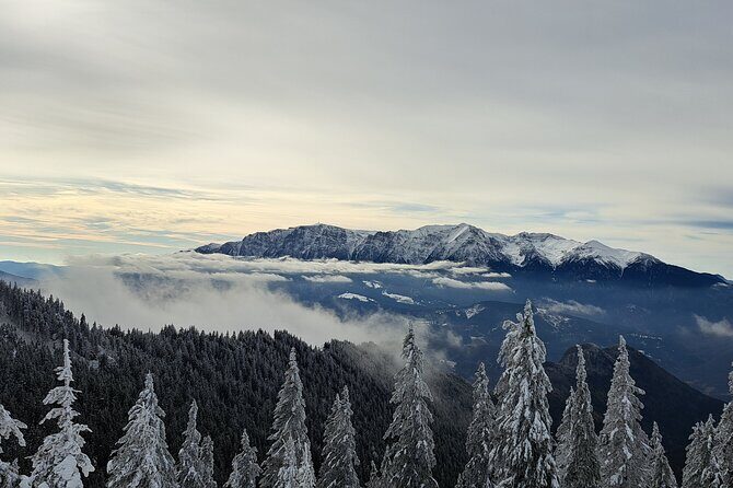 Ski Lessons Poiana Brasov - The route you’ll follow: from the activity center to Postavarul