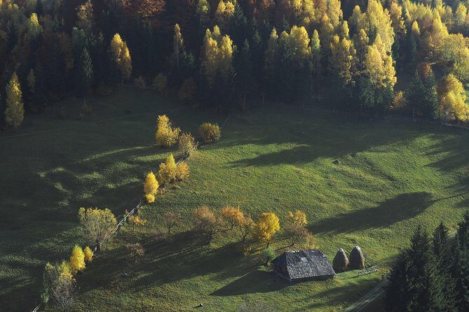Small-Group Day Trip in Romanian Authentic Mountain Villages from Brasov - Magura Village hike: rural life on your terms