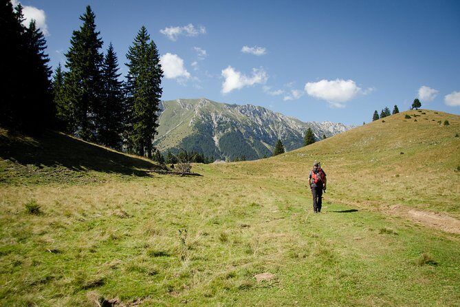 Small-Group Day Trip in Romanian Authentic Mountain Villages from Brasov - How strenuous is this hike, really?