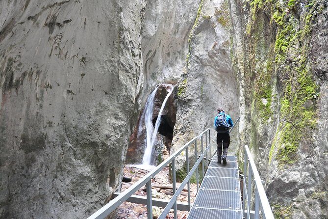 Small-Group Day Trip to the Epic 7 Ladders Canyon from Brasov - Seven Ladders Canyon: why the gorge is worth the hike