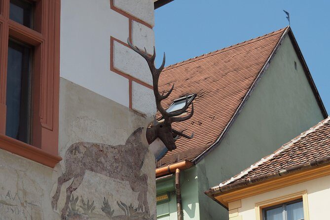 Small Group Tour to Viscri Church Sighisoara Town Rupea Fortress - From Brașov’s Library Meeting Point to Transylvania Roads