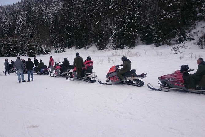 SnowMobiles Tour in Carpathian Mountains - Who this snowmobile + castle day-trip is best for