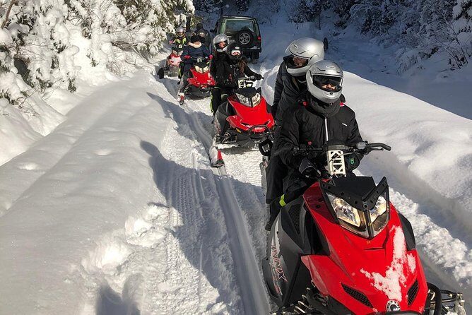 SnowMobiles Tour in Carpathian Mountains - Peleș Castle stop: classic Romania, timed for a winter day