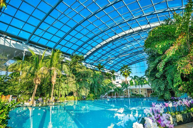 Therme Bucuresti: Entry Ticket and Transfer - The express shuttle start: quick pickup, clear meet-and-greet