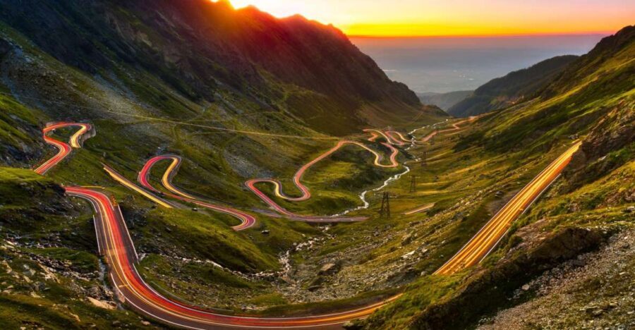 Transfagarasan Road Trip - Wildlife chances on the road: bears are an option, not a promise
