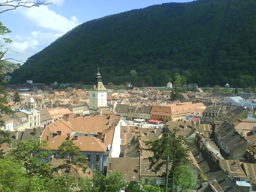 Transylvania: Cultural Full-Day Trip by Minivan - Weather, Clothing, and Dates That Can Change Your Sights