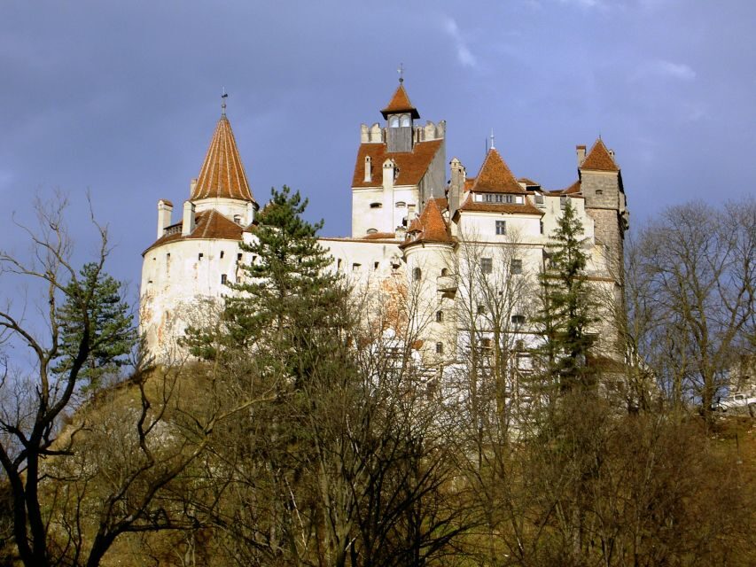 Transylvania: Cultural Full-Day Trip by Minivan - What the Driver and Guide Make Better Than DIY