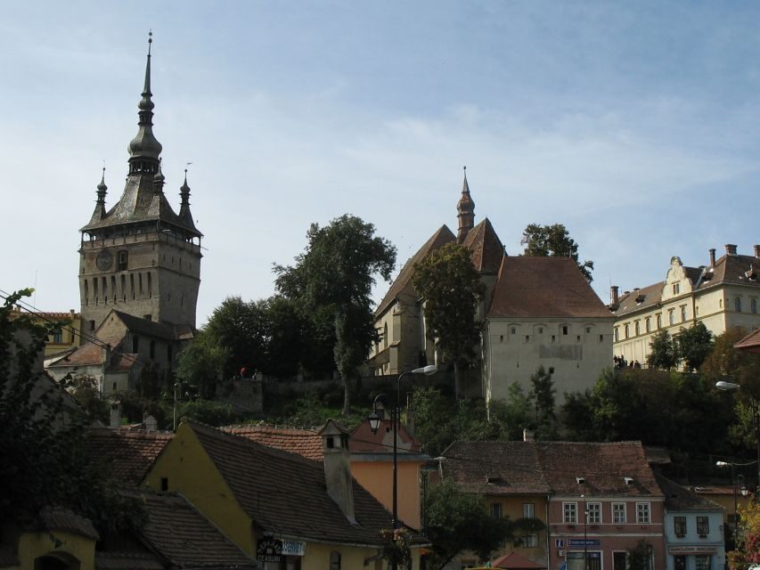 Transylvania: Dracula's Castle and Birthplace Tour - Quick hits: what makes this Dracula and birthplace tour work